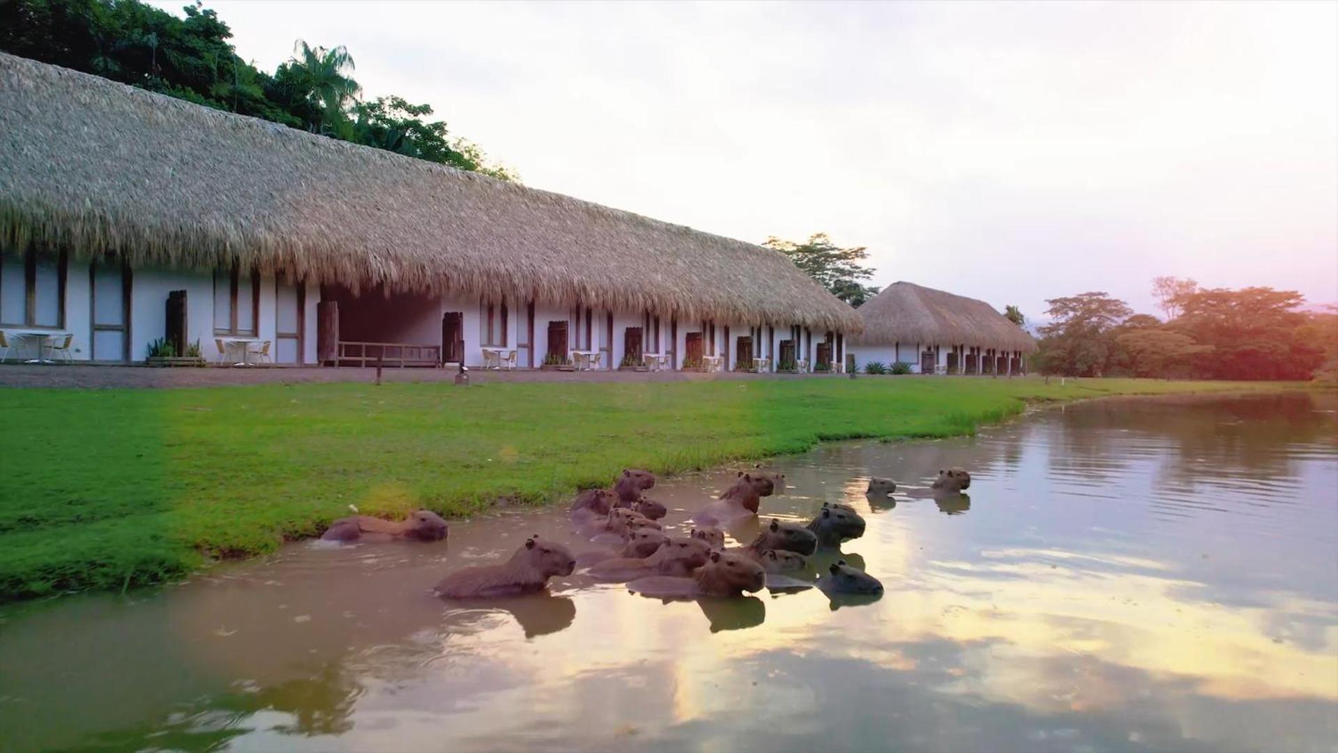 Hacienda Palo A Pique 3* La Palmera